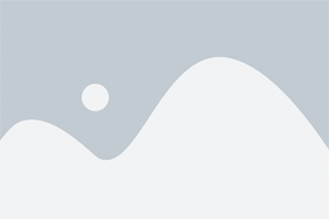 Place Holder Logo